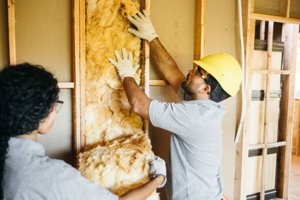 Best Professional Insulation Contractor  in Calumet, PA