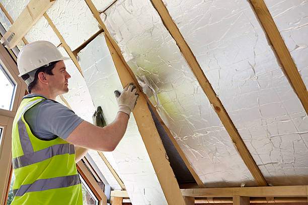 Best Insulation Removal  in Calumet, PA